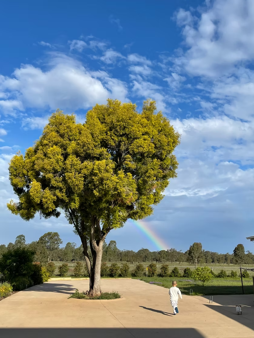 child walking tree