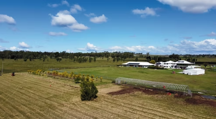 pure land site